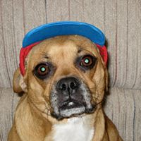 Sophie Sherman Photo 5