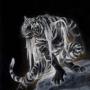 Joseph Halpin Photo 4