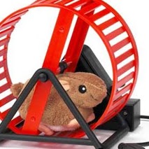 Richard Tesch Photo 8