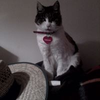 Geraldine Mcneil Photo 12