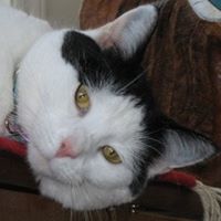 Joan Jackson Photo 10