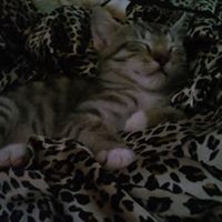 Susan Arrington Photo 34