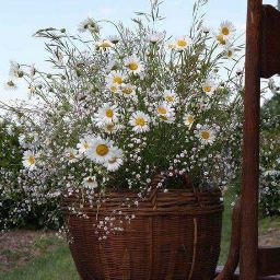 Theresa Davidson Photo 37 Theresa Davidson Photo 37