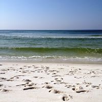 Julie Prigmore Photo 12