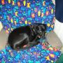 Brenda Rowell Photo 20