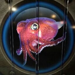 Christopher Mccall Photo 20