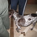 Carol Meadows Photo 15
