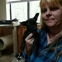 Valerie Hankins Photo 9