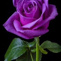 Aimee Huffman Photo 12