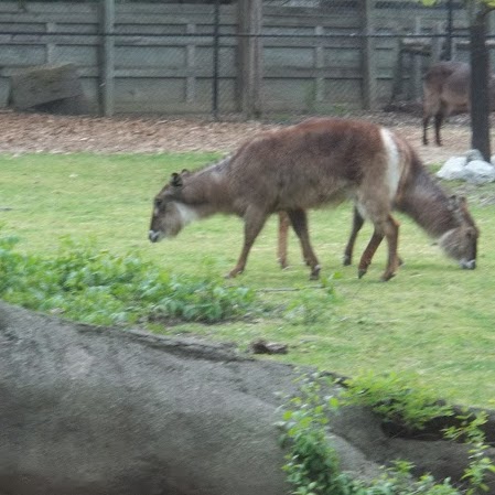 Candice Gary Photo 13