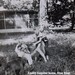 Bobby Powell Photo 23