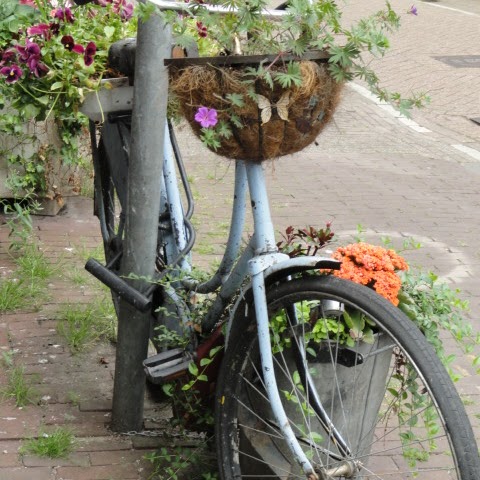 Joan Murphy Photo 20