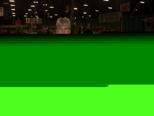 Lee Collins Photo 12