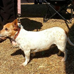 Gloria Flynn Photo 9