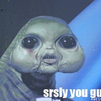 Matthew Leader Photo 16