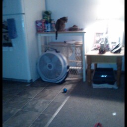 Sandra Beck Photo 37