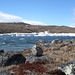 Sylvia River Photo 7
