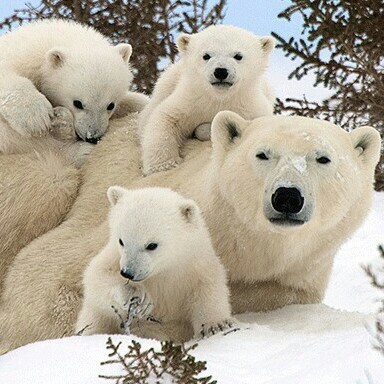 Kenneth Burns Photo 24