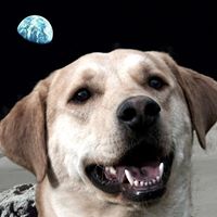 Brent Taylor Photo 7