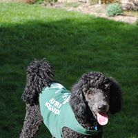 Margaret Swanson Photo 10