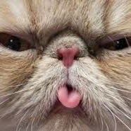 Terry Guthrie Photo 11