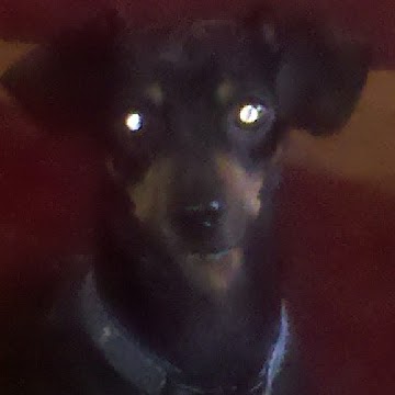 Jeremy Small Photo 13