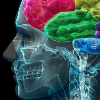 Eduardo Bustos Photo 38