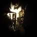 Michele Burns Photo 22