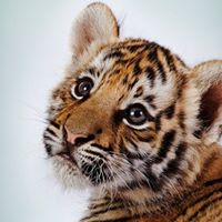 Tracy Philips Photo 5