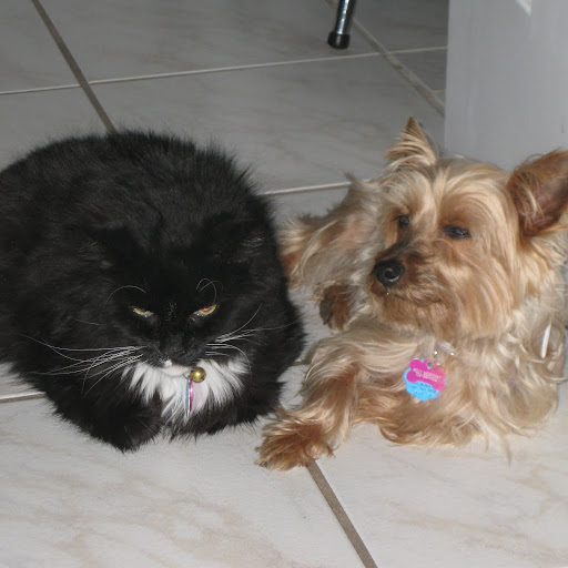 Tom Mcgowan Photo 47