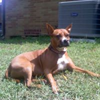 Jill Mccarty Photo 17