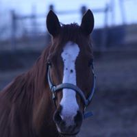 Kathy Simonson Photo 5