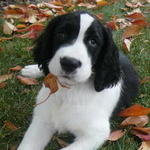 Melinda Masters Photo 13
