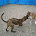 Sue Bailey Photo 15