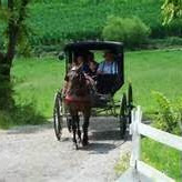 Janice Troyer Photo 6