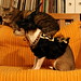 Katherine Coon Photo 4