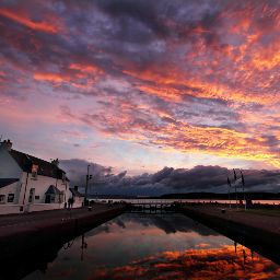 Michael Smyth Photo 39