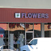 Clara Flowers Photo 15