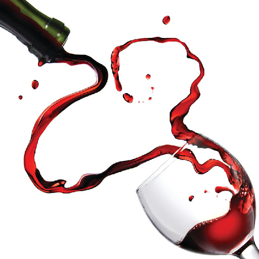 Michelle Lessard Photo 26