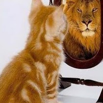 Angela Braun Photo 3