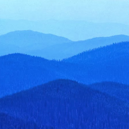 Ronald Stephens Photo 37