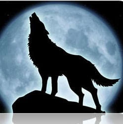 Albert Hunter Photo 16 Albert Hunter Photo 16