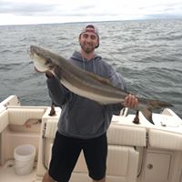 Roger Shepherd Photo 28