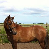 Marianne Rasmussen Photo 26