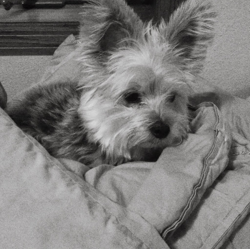 Megan Christianson Photo 17