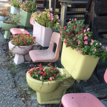 Cindy Boone Photo 18