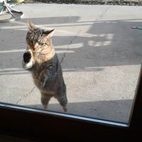 Laura Schaefer Photo 15 Laura Schaefer Photo 15