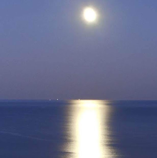 Steven Tripp Photo 27