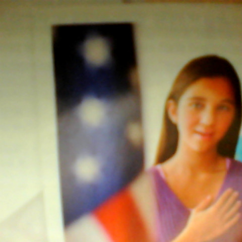 Theresa Haynes Photo 11