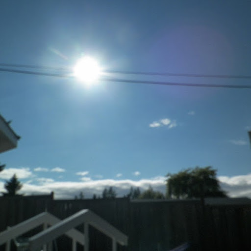 Julia Ackerman Photo 13